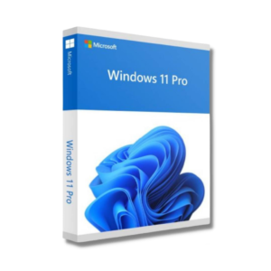 Windows 11