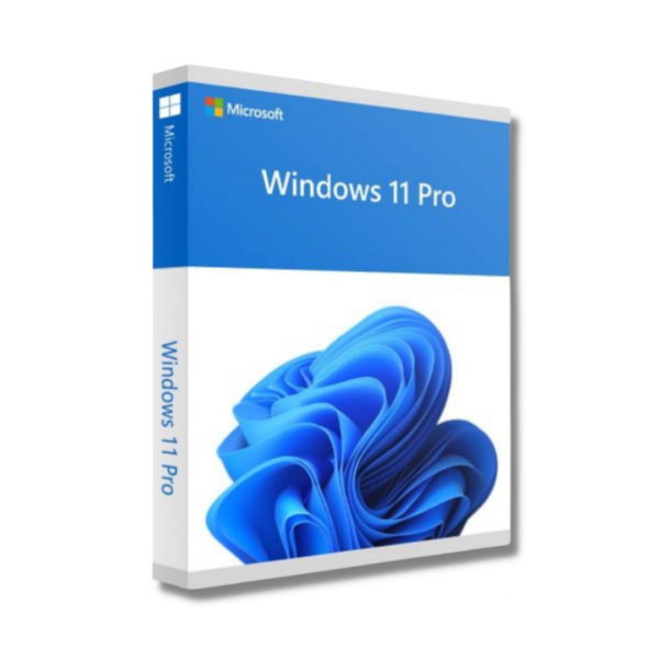 Windows 11